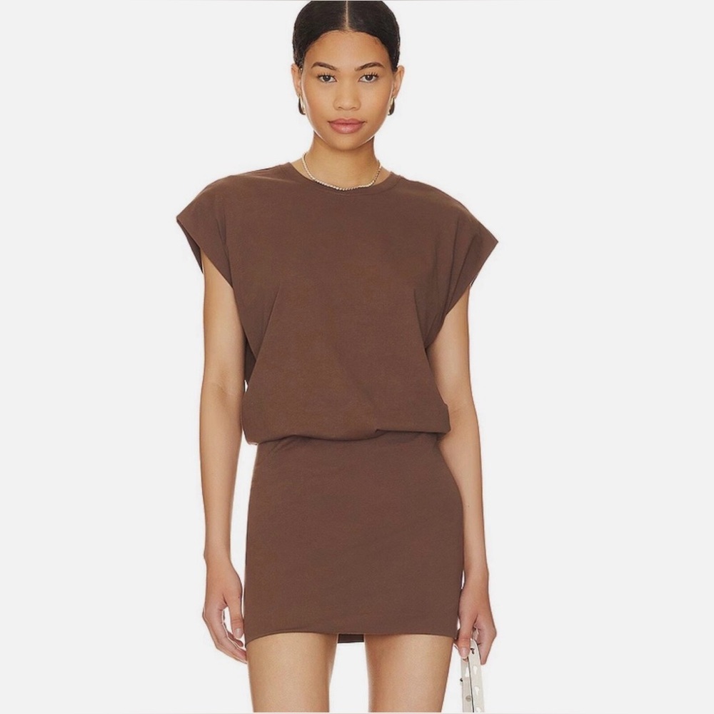 pistola Brown Mini Dress